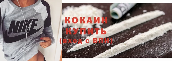 соль ск Богородицк