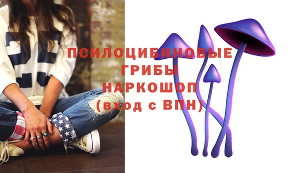 apvp Богородск