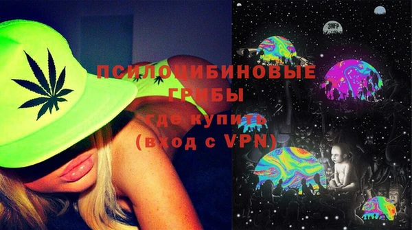 соль ск Богородицк
