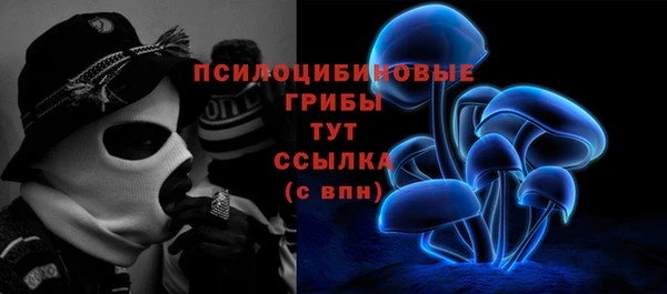 мдма Богданович