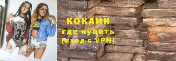 соль ск Богородицк