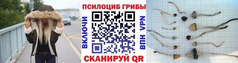 Галлюциногенные грибы мухоморы  Купить где  Сим 